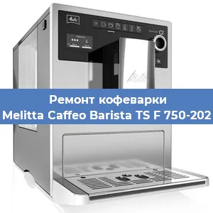 Замена жерновов на кофемашине Melitta Caffeo Barista TS F 750-202 в Перми